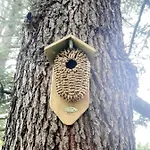 Nyaraló Casa Delle Foglie Sussurranti