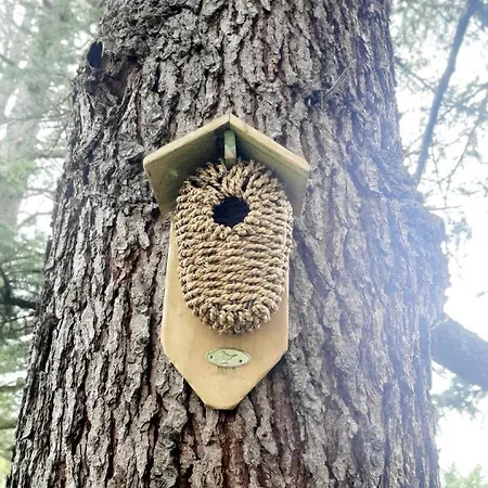 Дом отдыха Casa Delle Foglie Sussurranti