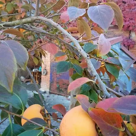 Casa Delle Foglie Sussurranti Asti