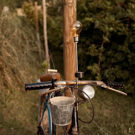 بيت للعطل Casa Delle Foglie Sussurranti آستي