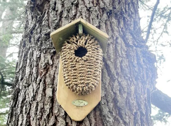 Vakantiehuis Casa Delle Foglie Sussurranti