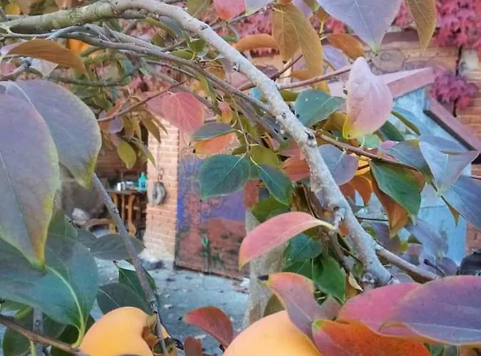 Casa Delle Foglie Sussurranti Asti